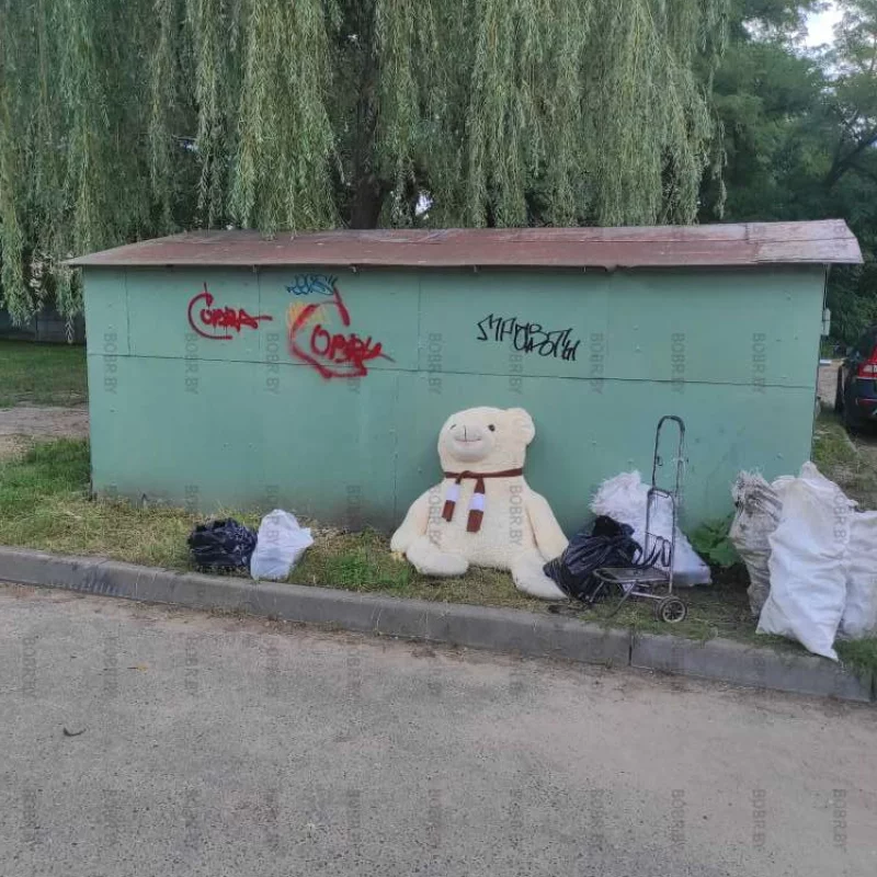 Выбросили медведя, ловите Координаты где вы ещё можно забрать.