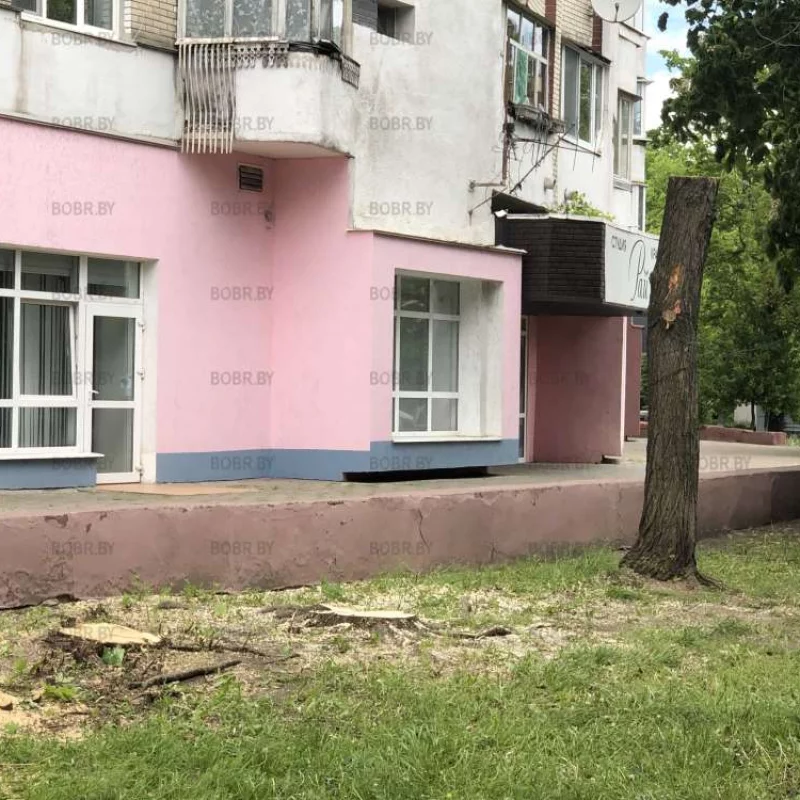 Печальное зрелище