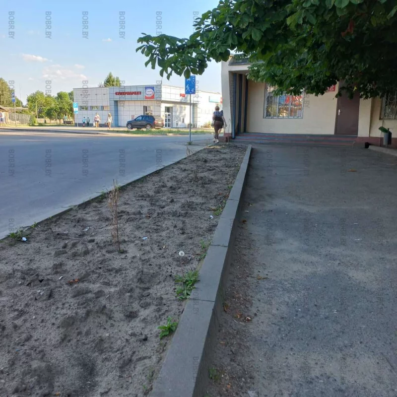 Наш город мы превратим в цветущий сад 