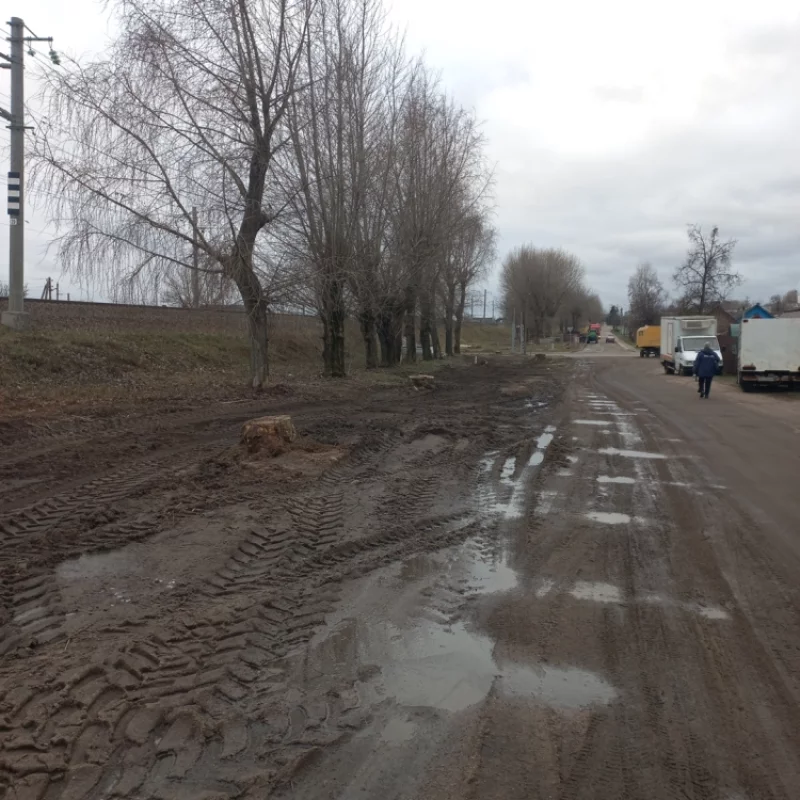 Озеленение города идёт полным ходом