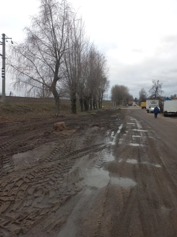 Озеленение города идёт полным ходом