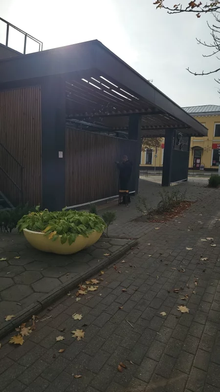 Базилик перекрашивают в черный цвет