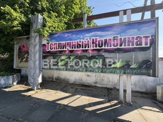  «Бобруйский тепличный комбинат» продают с 90% скидкой