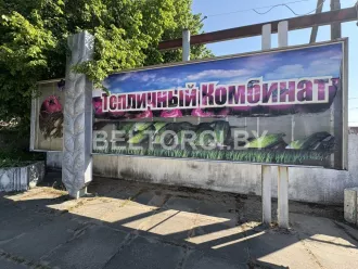  «Бобруйский тепличный комбинат» продают с 90% скидкой