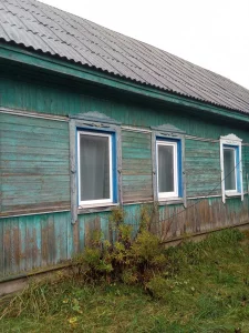 Дом с участком в д. Левковичи Кировского района Могилёвской обл