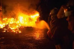 Пожары за неделю с 11 по 17 января 2010 года