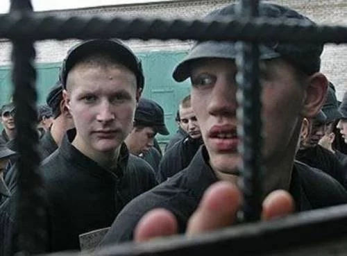 Социальная адаптация лиц, вышедших из мест лишения свободы