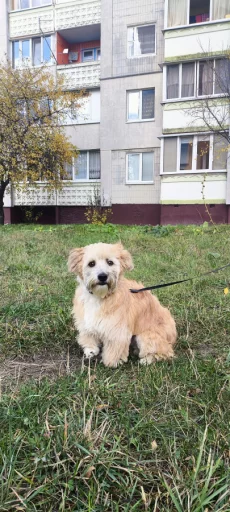 Особенный Джонни