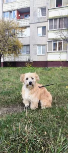 Особенный Джонни