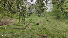 Участок с ветхим домом