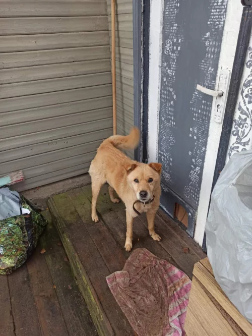 Кто потерял?