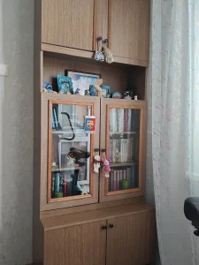 Книжный шкаф