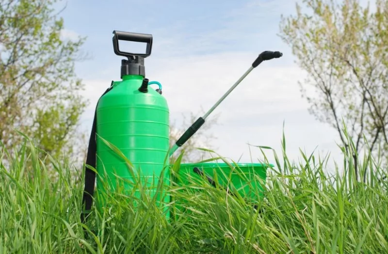 Как и где купить ручной опрыскиватель?