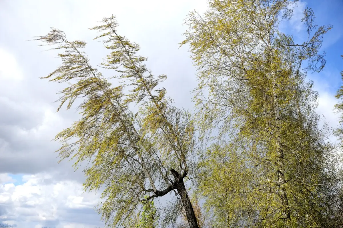 Погода на 30 апреля в Могилевской области