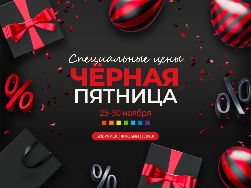 Чёрная пятница в Бобруйске! Скидки 20% на римские шторы, потолки и входные двери!