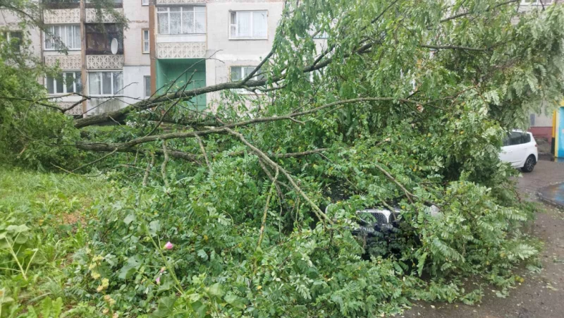 "Игорь" натворил бед. Какой вред он нанес Бобруйску?