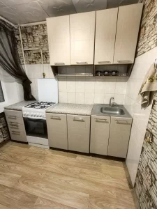 1-комнатную квартиру, центр