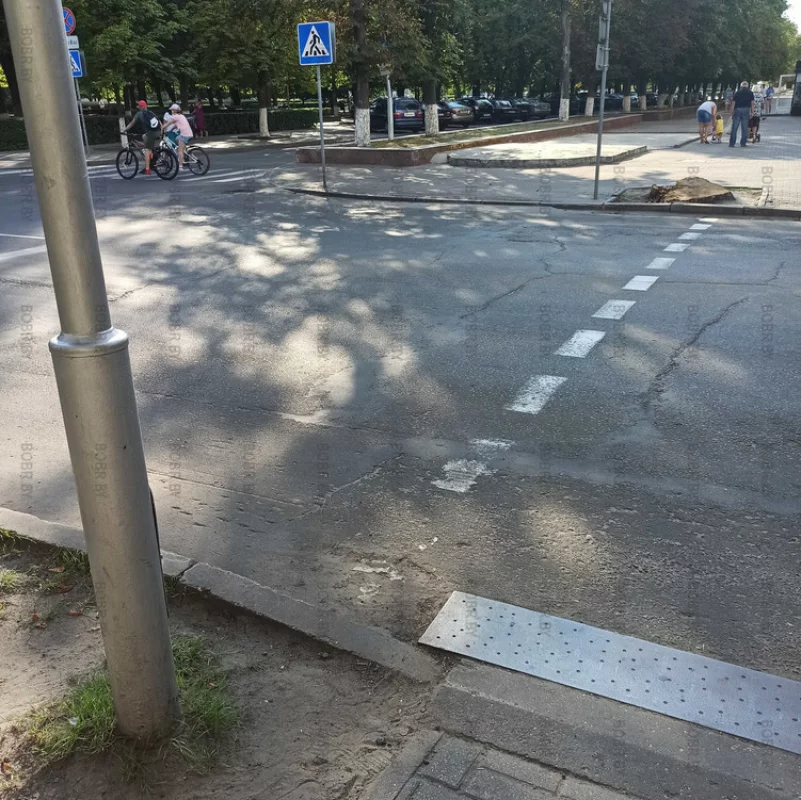 Было большое красивое дерево - стал пень.