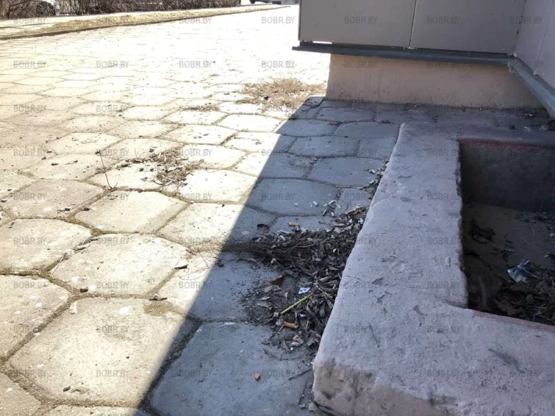 ЖКХ вообще уборкой не занимается?