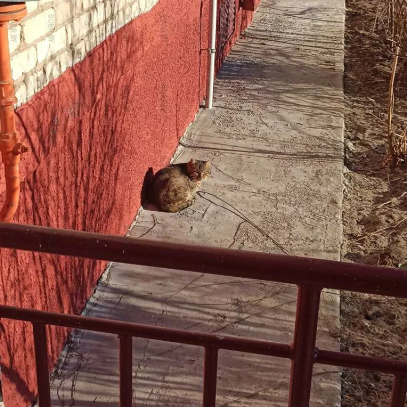 На солнышке хорошо