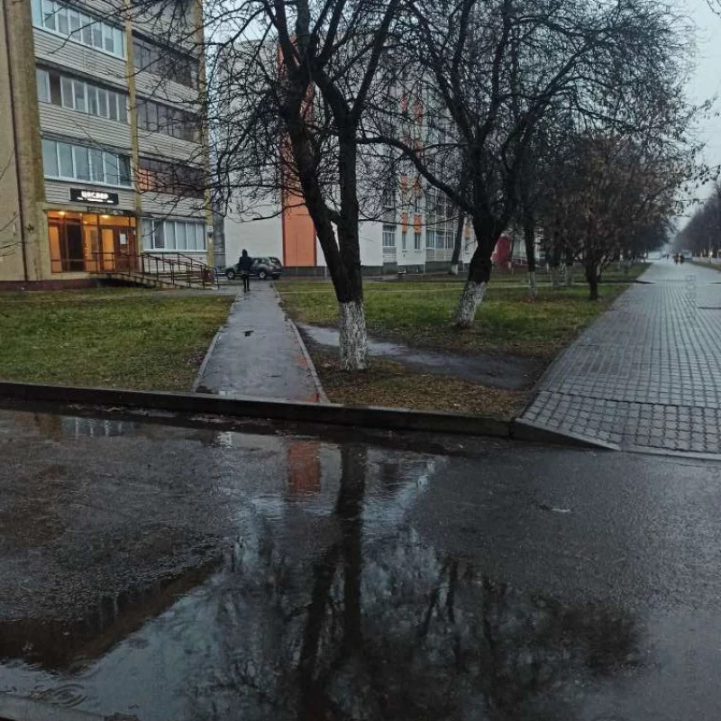 Такая удобный по высоте подъем на дорожку во дворы, что все ходят по траве