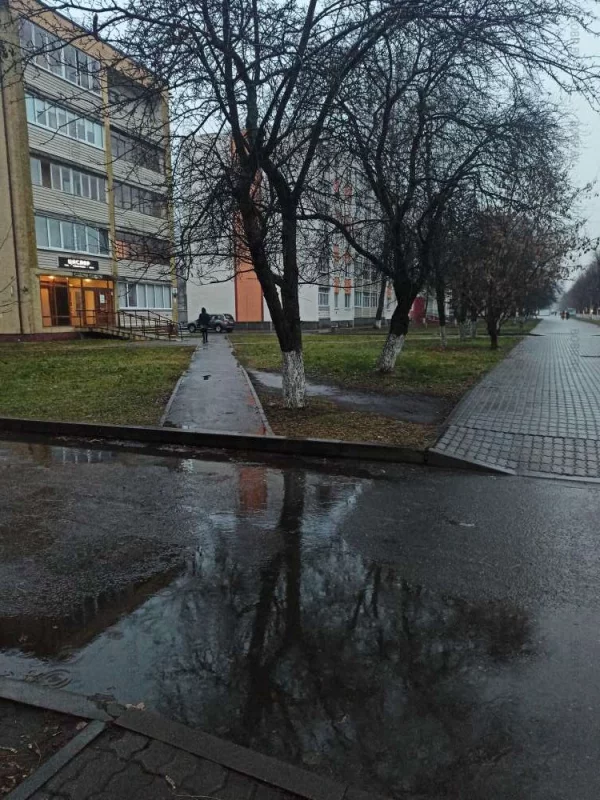 Такая удобный по высоте подъем на дорожку во дворы, что все ходят по траве