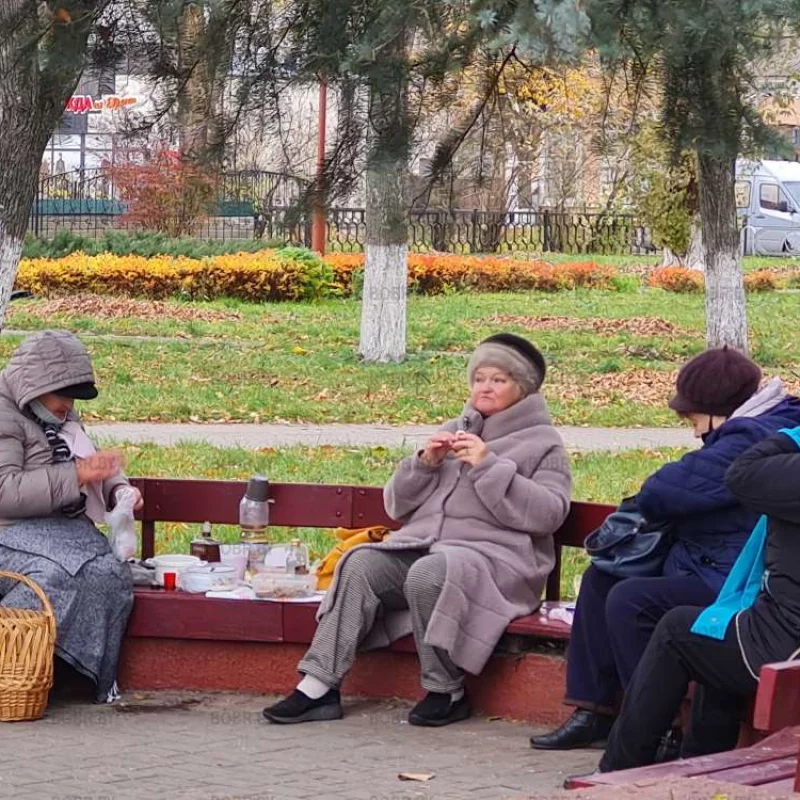 Пикничок