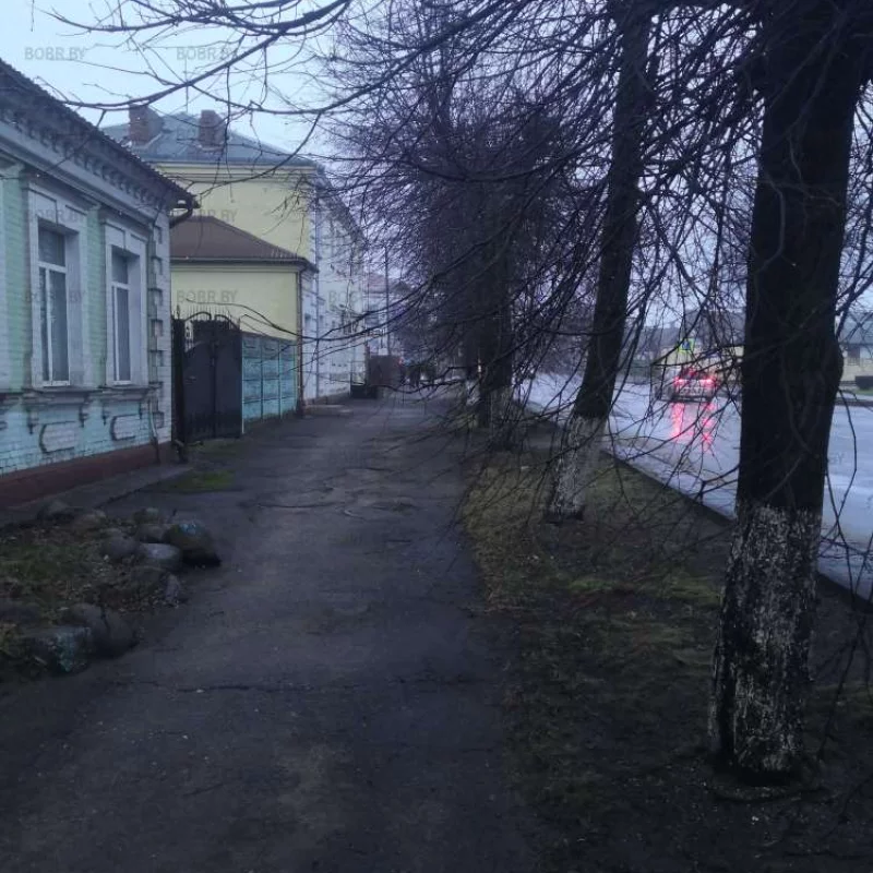 Ветки деревьев прямо на прохожих лезут