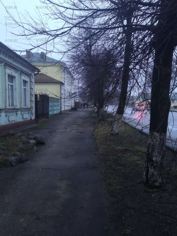 Ветки деревьев прямо на прохожих лезут