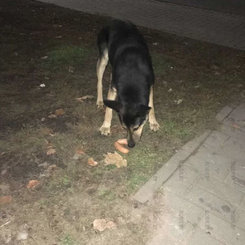 Нашлись добрые люди