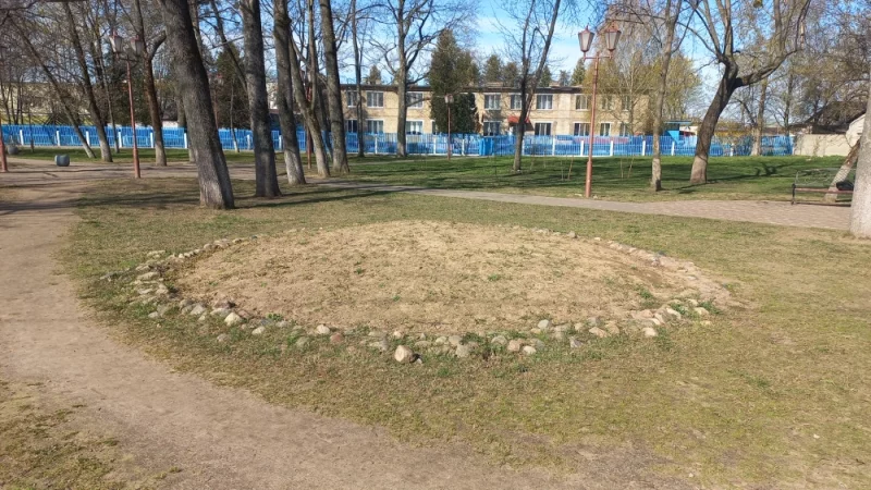 Красавица клумба