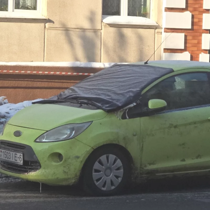 Лайфхак для водителей, смотрите Что можно сделать чтобы избежать наледи На лобовом стекле автомобиля.