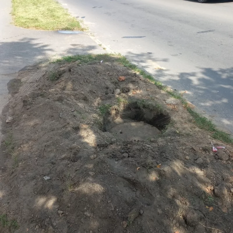 Безхозяйственность