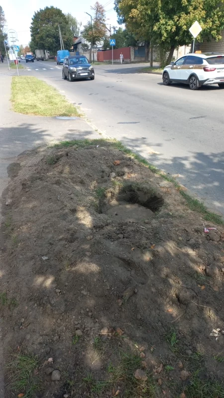Безхозяйственность