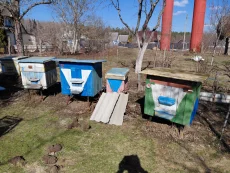 Продим Ульи