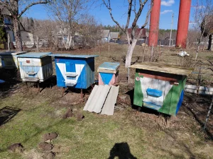 Продим Ульи