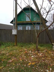 Дом с участком в д. Левковичи Кировского района Могилёвской обл