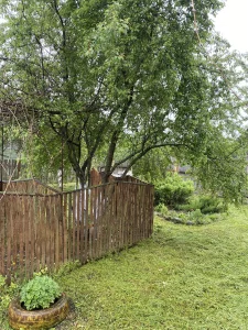 Дом в д.Лоси