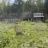 Дачный участок в 5 км от Бобруйска