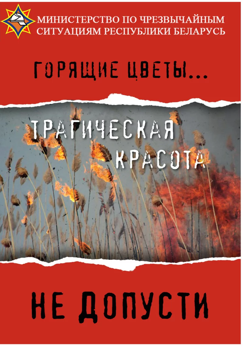 Горит не просто трава – горит жизнь под нашими ногами!
