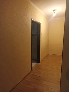 Однокомнатную квартиру