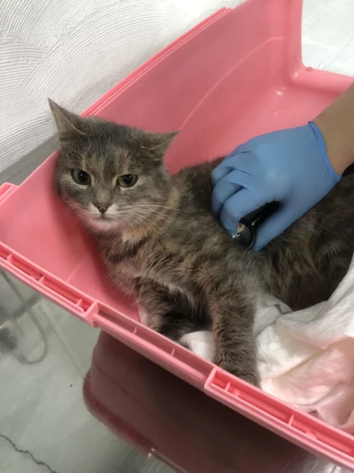 Кто потерял?