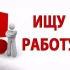 В поиске работы