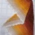 Шаль бактус