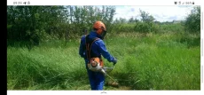 Покос травы