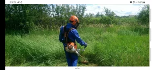 Покос травы