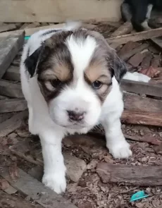 Красивые малыши