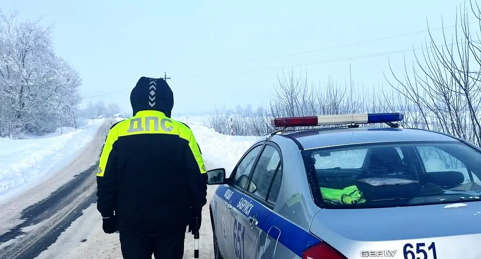 Специальные профилактические мероприятия стартовали в Бобруйском районе