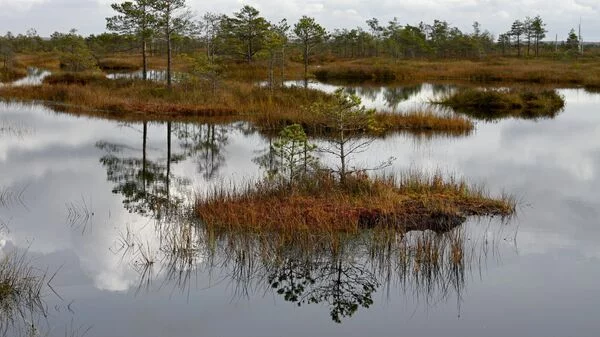 Погода налаживается. Идет весна