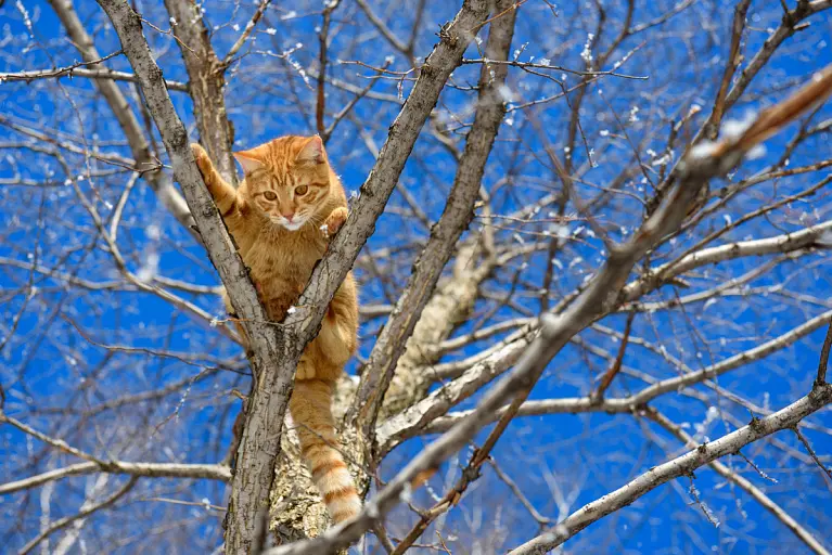 Погода на 19 апреля в Могилевской области